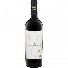 Tandem Secco red wine , 14% alc., 0.75L, Republic of Moldavia