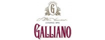 Galliano